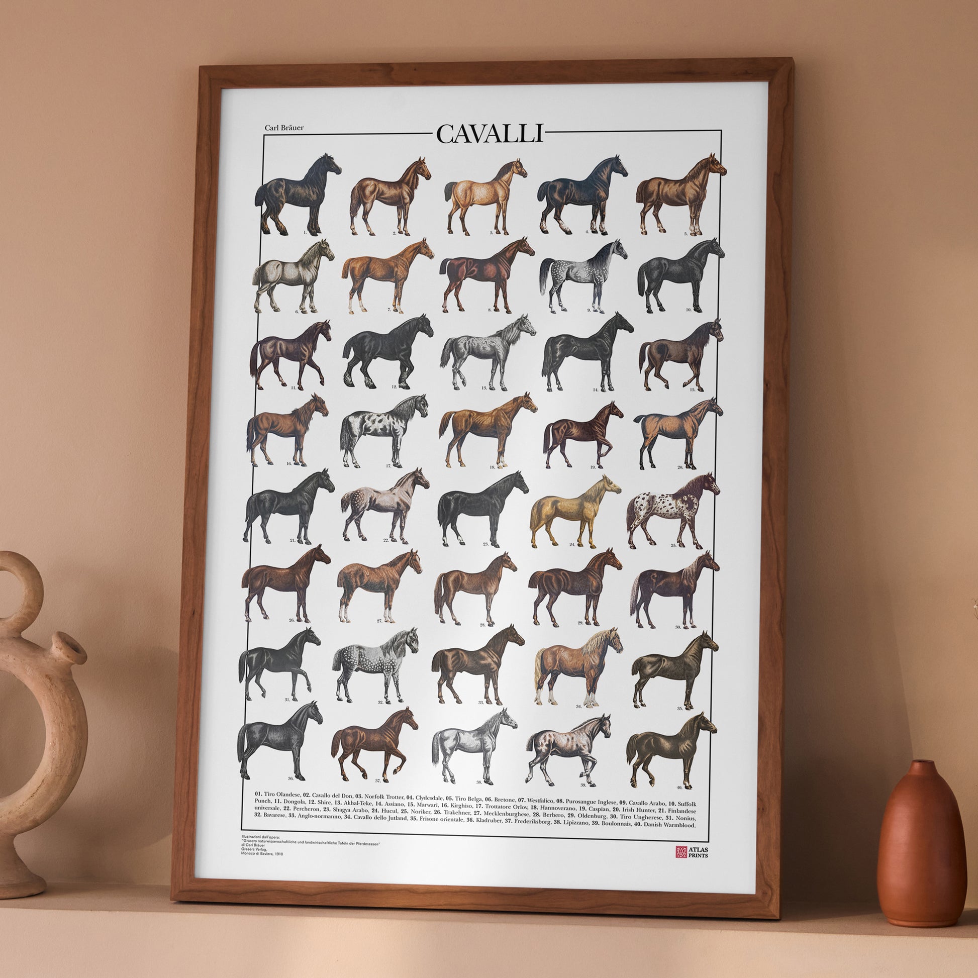 Zaino In Carta Laminata 310 Gr Online - Foto 6