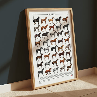 Poster Cavalli con 40 illustrazioni restaurate di diverse razze equine, tratte da tavole naturalistiche di Carl Bräuer del 1910, con titolo e didascalie dei nomi comuni.