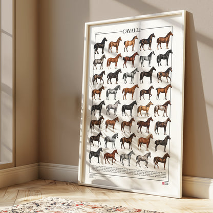 Poster Cavalli con 40 illustrazioni restaurate di diverse razze equine, tratte da tavole naturalistiche di Carl Bräuer del 1910, con titolo e didascalie dei nomi comuni.