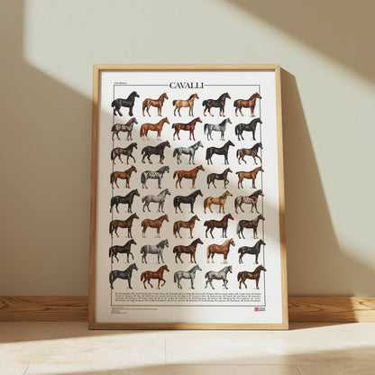 Poster Cavalli con 40 illustrazioni restaurate di diverse razze equine, tratte da tavole naturalistiche di Carl Bräuer del 1910, con titolo e didascalie dei nomi comuni.