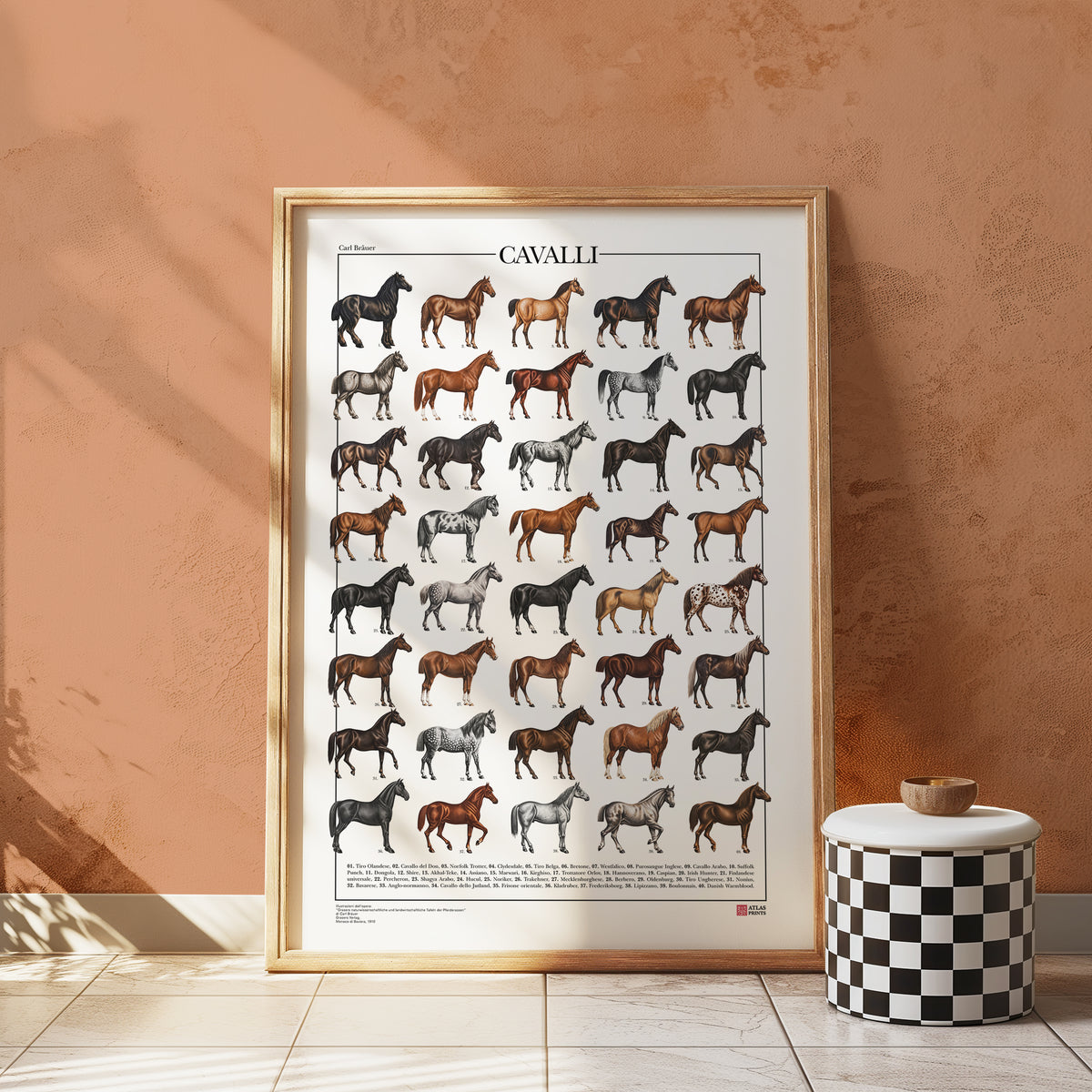 Poster Cavalli con 40 illustrazioni restaurate di diverse razze equine, tratte da tavole naturalistiche di Carl Bräuer del 1910, con titolo e didascalie dei nomi comuni.