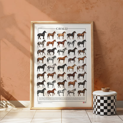 Poster Cavalli con 40 illustrazioni restaurate di diverse razze equine, tratte da tavole naturalistiche di Carl Bräuer del 1910, con titolo e didascalie dei nomi comuni.