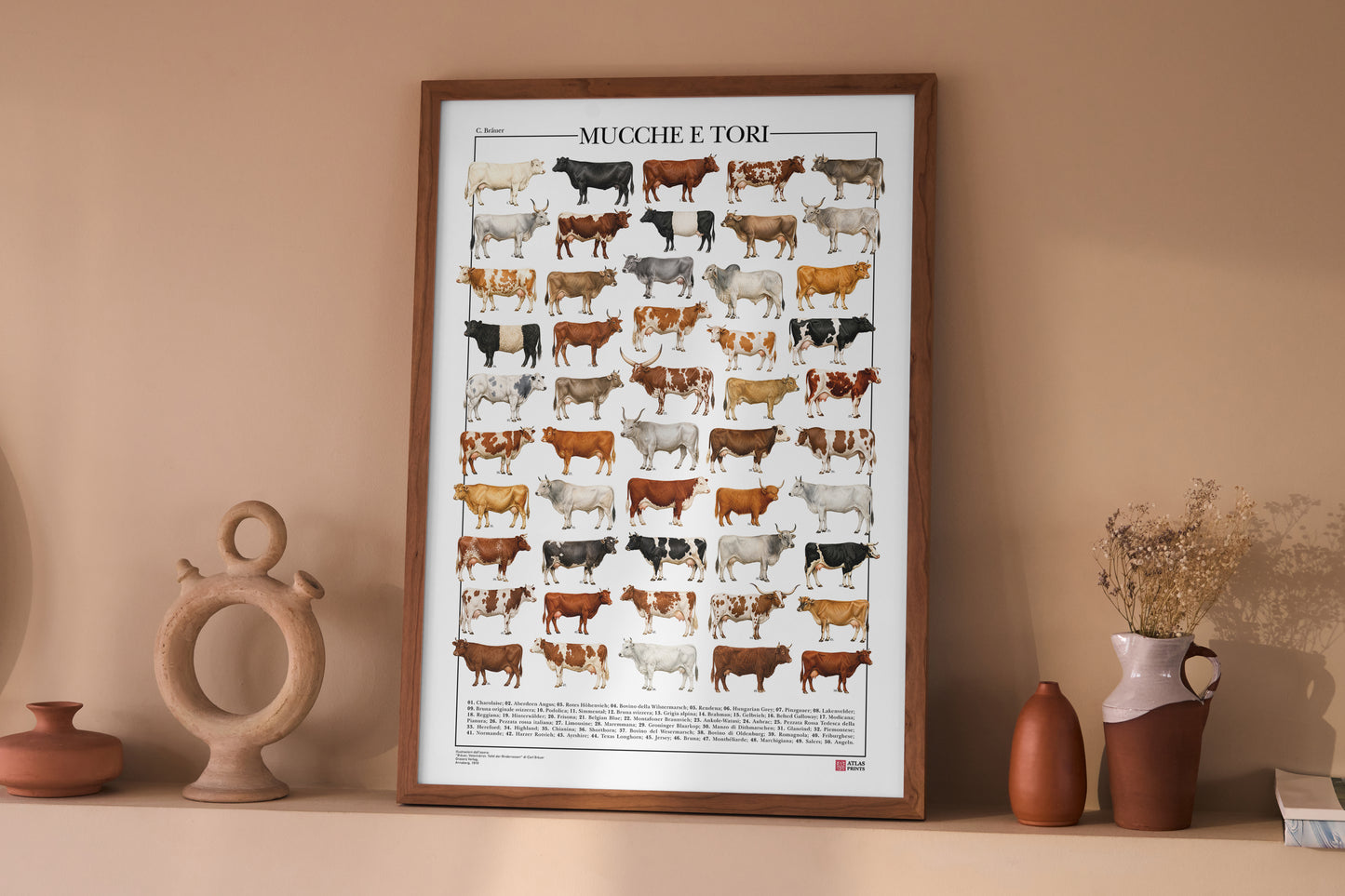Poster illustrato con 50 razze bovine tratte da tavole zoologiche del XIX secolo, restaurate digitalmente e corredate dai nomi delle razze.