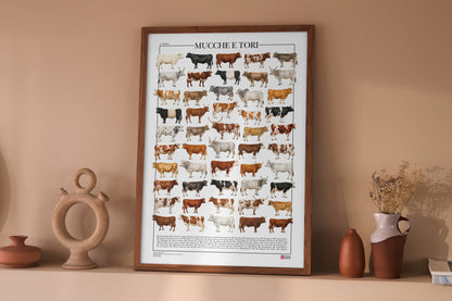 Poster illustrato con 50 razze bovine tratte da tavole zoologiche del XIX secolo, restaurate digitalmente e corredate dai nomi delle razze.