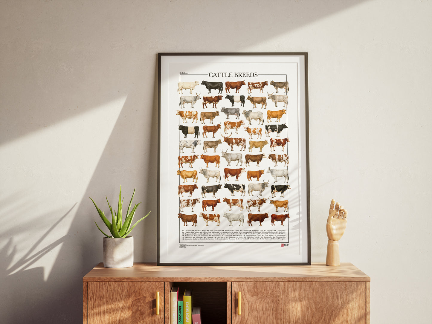 Poster illustrato con 50 razze bovine tratte da tavole zoologiche del XIX secolo, restaurate digitalmente e corredate dai nomi delle razze.