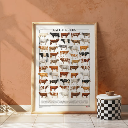 Poster illustrato con 50 razze bovine tratte da tavole zoologiche del XIX secolo, restaurate digitalmente e corredate dai nomi delle razze.