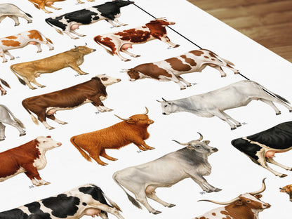 Poster illustrato con 50 razze bovine tratte da tavole zoologiche del XIX secolo, restaurate digitalmente e corredate dai nomi delle razze.