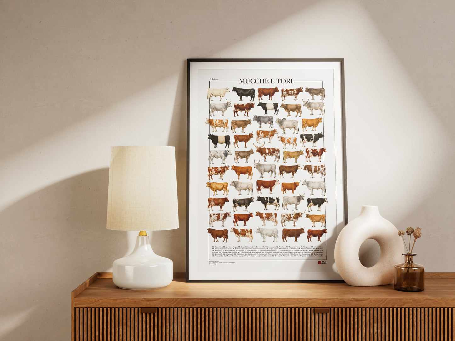 Poster illustrato con 50 razze bovine tratte da tavole zoologiche del XIX secolo, restaurate digitalmente e corredate dai nomi delle razze.
