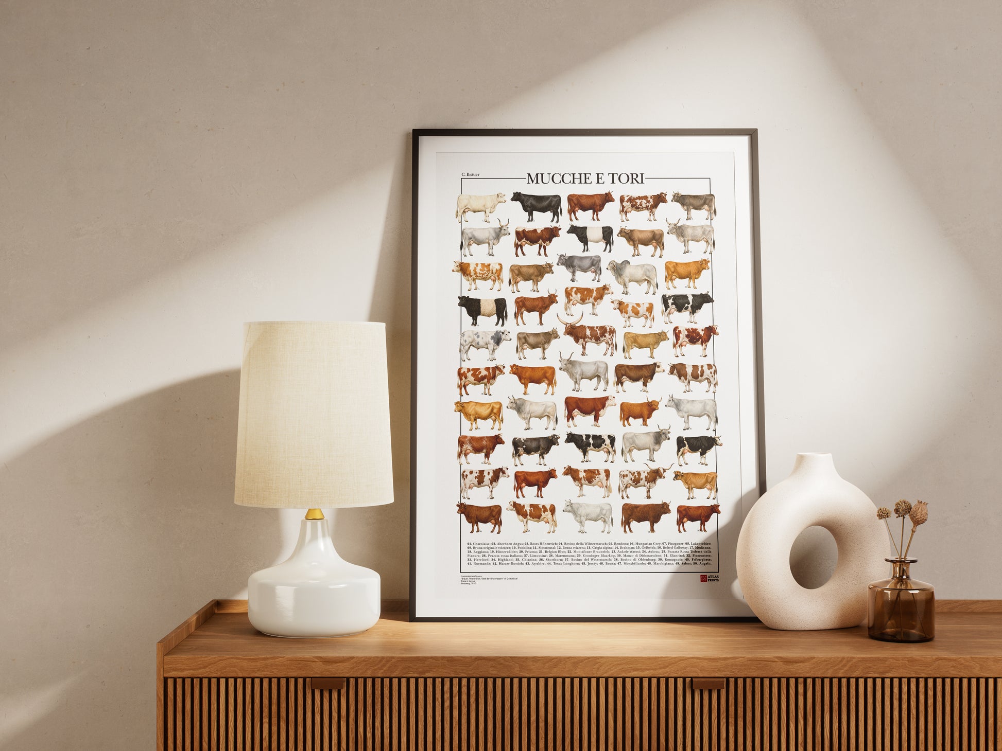 Poster illustrato con 50 razze bovine tratte da tavole zoologiche del XIX secolo, restaurate digitalmente e corredate dai nomi delle razze.