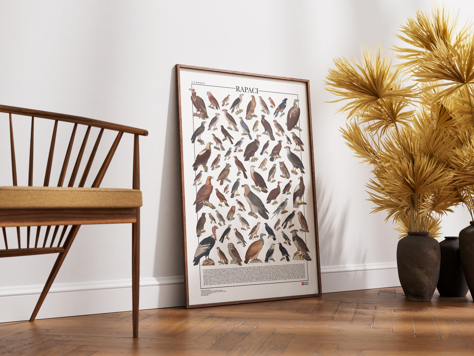 Poster illustrato dedicato ai rapaci del mondo con 65 specie di rapaci diurni e notturni. Ogni illustrazione è restaurata da tavole zoologiche dell'Ottocento e accompagnata dal nome comune e dal nome scientifico. Stampa decorativa ideale per appassionati di ornitologia, fauna selvatica e storia naturale.