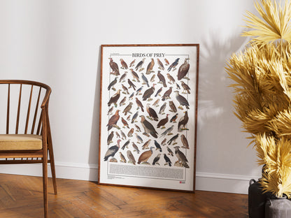 Poster illustrato dedicato ai rapaci del mondo con 65 specie di rapaci diurni e notturni. Ogni illustrazione è restaurata da tavole zoologiche dell'Ottocento e accompagnata dal nome comune e dal nome scientifico. Stampa decorativa ideale per appassionati di ornitologia, fauna selvatica e storia naturale.