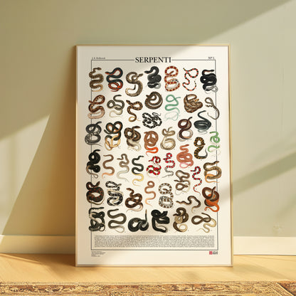 Serpenti