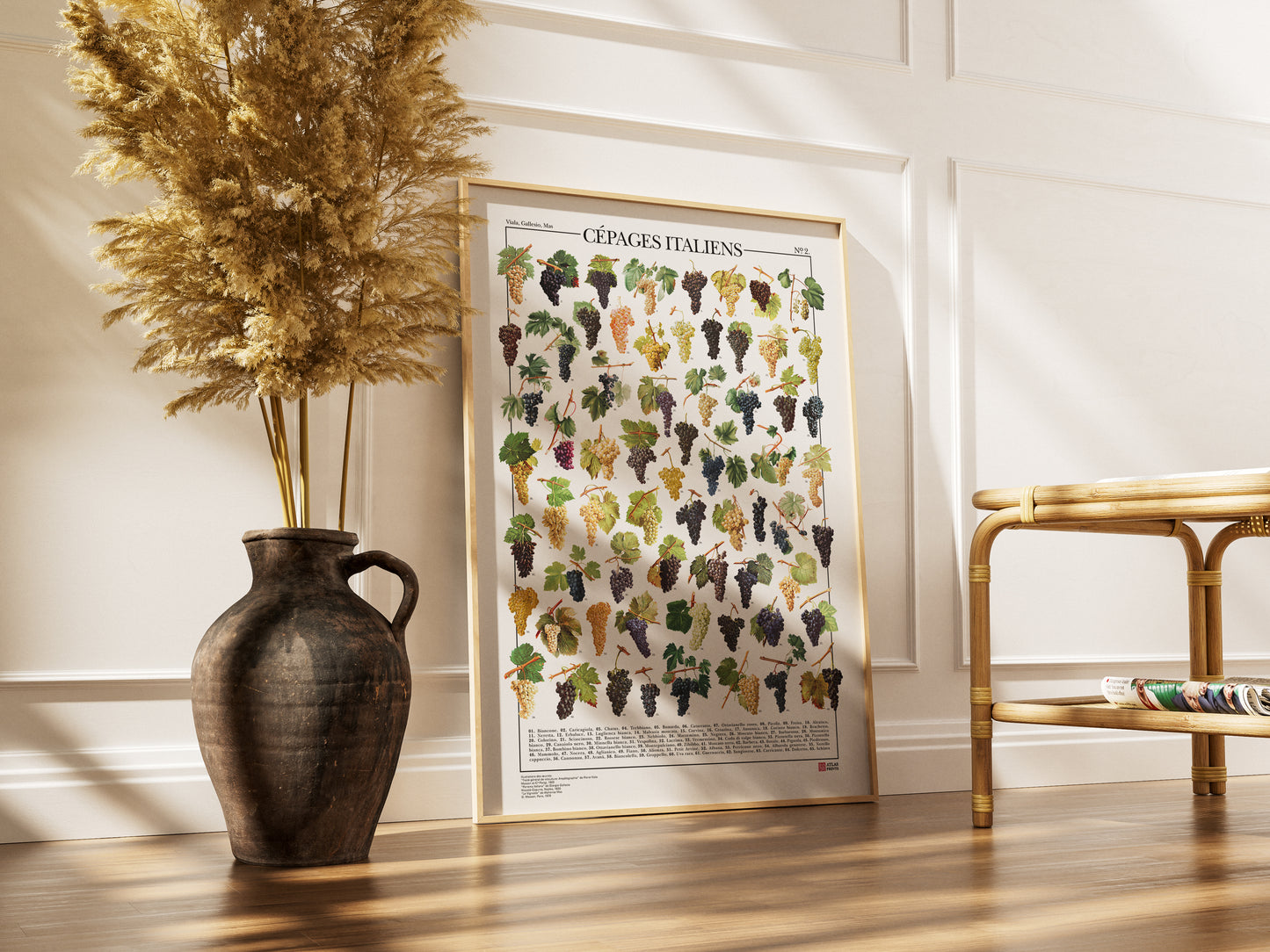 Il poster Vitigni italiani conta 65 illustrazioni di diversi tipi di uva italiana dalle opere:
Illustrazioni dalle opere:
“Traité général de viticulture: Ampélographie” di Pierre Viala, Masson et Cie Parigi, 1905
“Ponoma Italiana” di Giorgio Gallesio, Niccolò Capurro, Napoli, 1820
“Le Vignoble” di Alphonse Mas, G. Masson, Parigi, 1878

Didascalia con nomi comuni.

Disponibile in tre lingue: italiano, inglese e francese